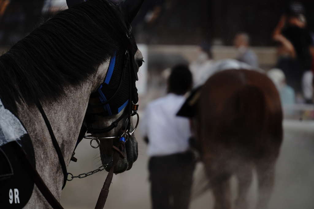 競馬場に行ってきた-1