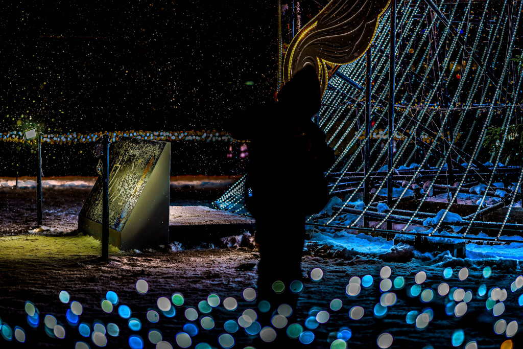 ホワイトイルミネーション5