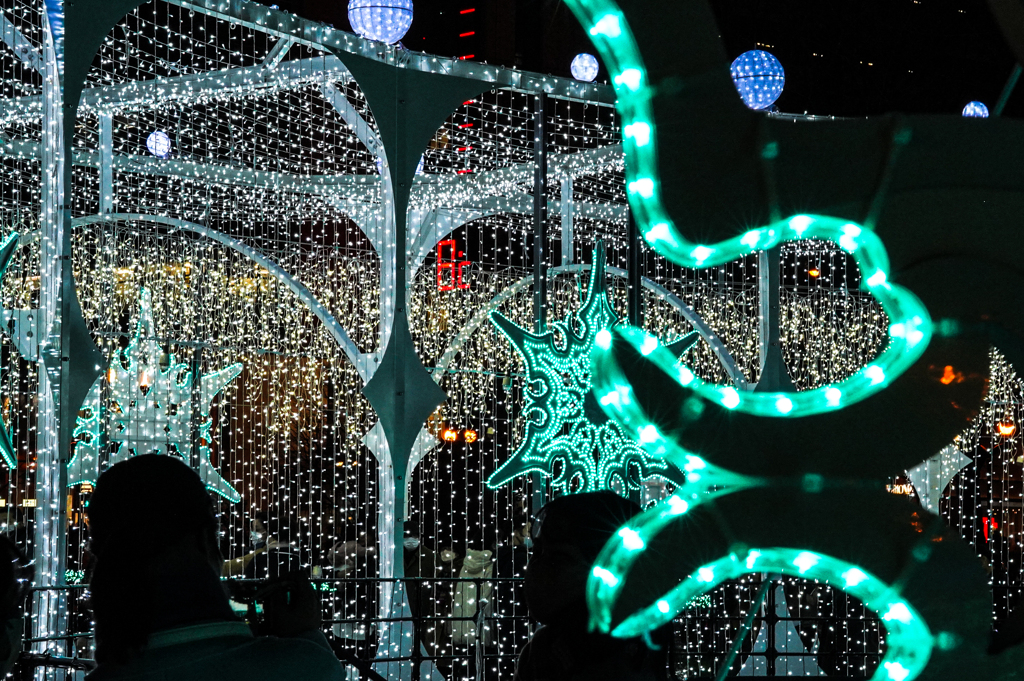 大通公園のイルミネーション