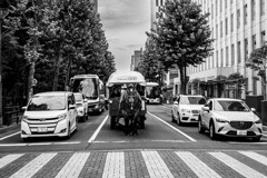 信号待ちの馬車