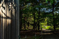 中島公園0828-4