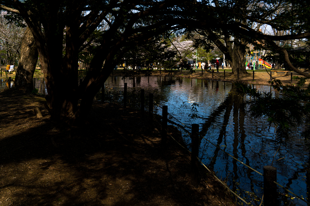 円山公園０４−２５ー４