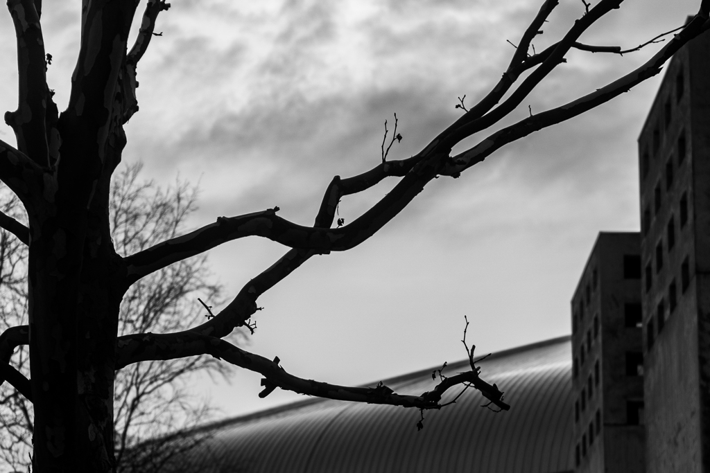 札幌ドームに行ってきた