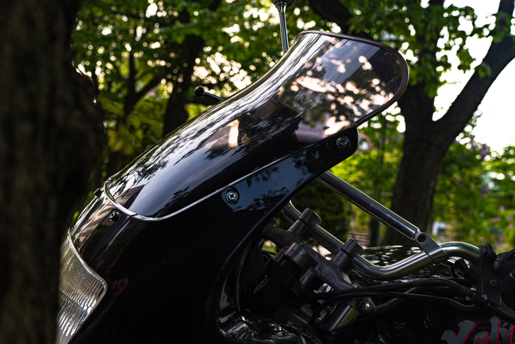 大通公園０５１７−６