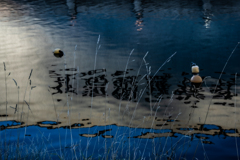 運河に秋を見た