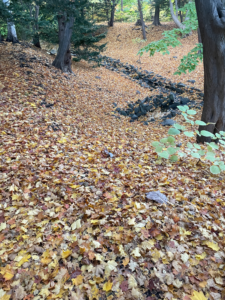 窪地になっています