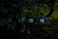 北野緑地に寄る