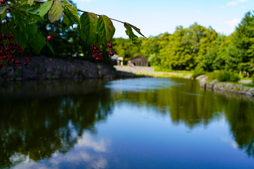 ひょっとして秋なのか