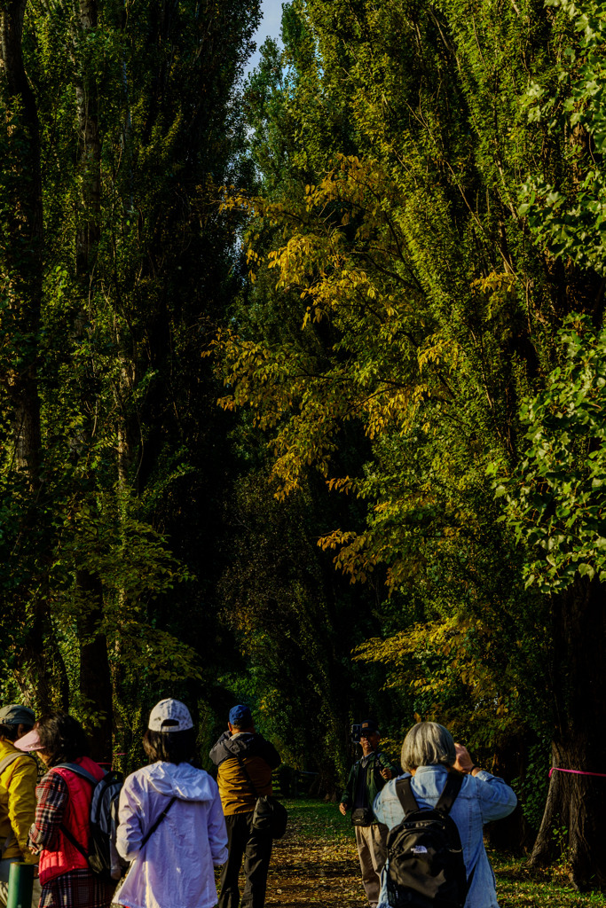 日本人はいない