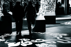 札幌駅前イルミネーションv2.0