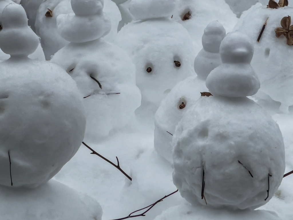 モンスターたち