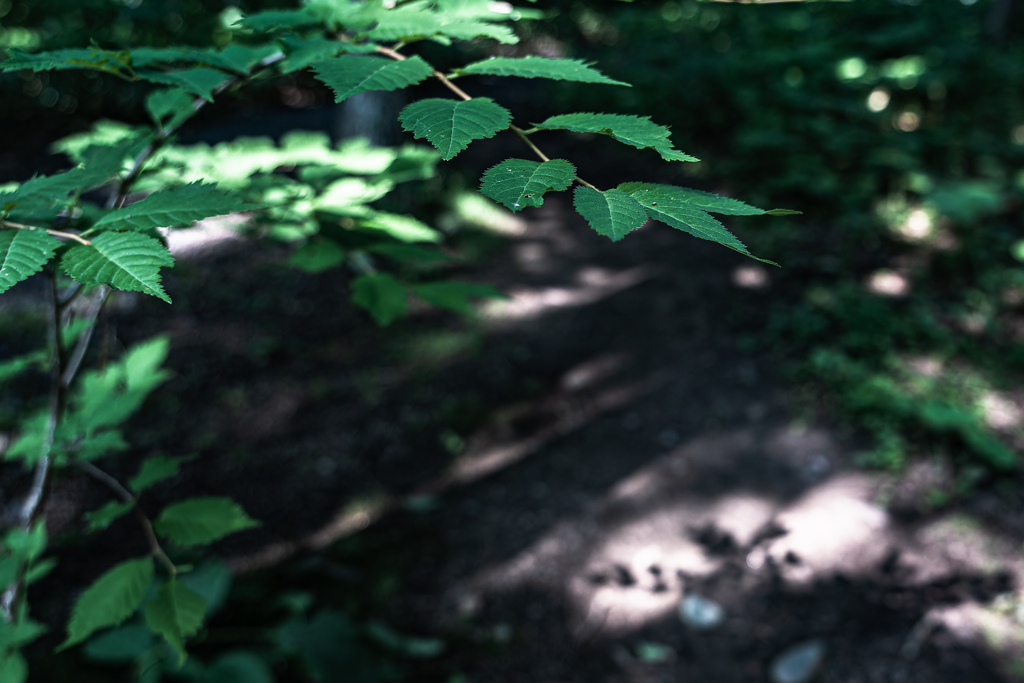 開拓の村に行ってきた-9