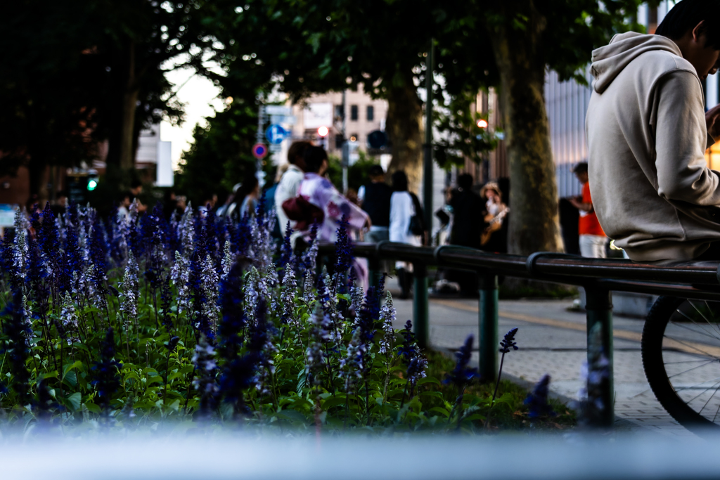 大通公園午後５時