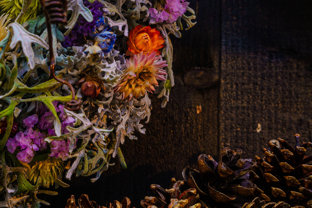 百合が原公園11212