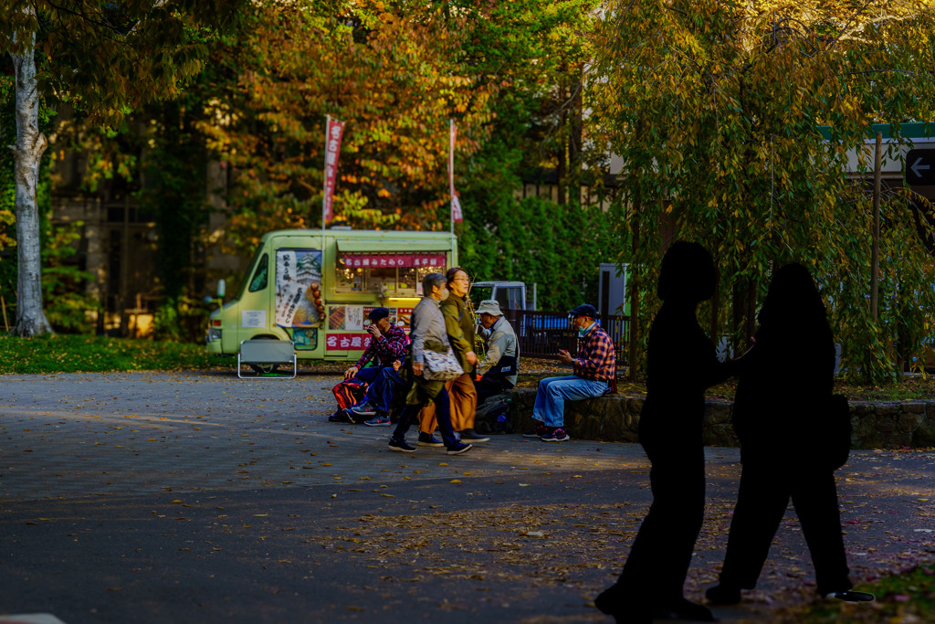 晩秋の円山公園9