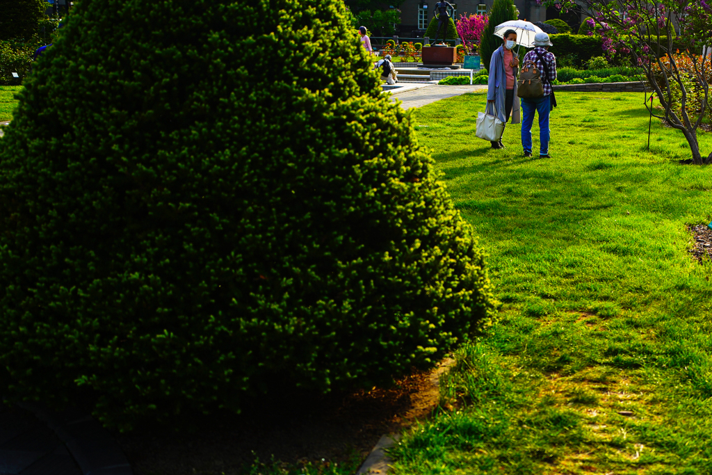 大通公園０５１７−５