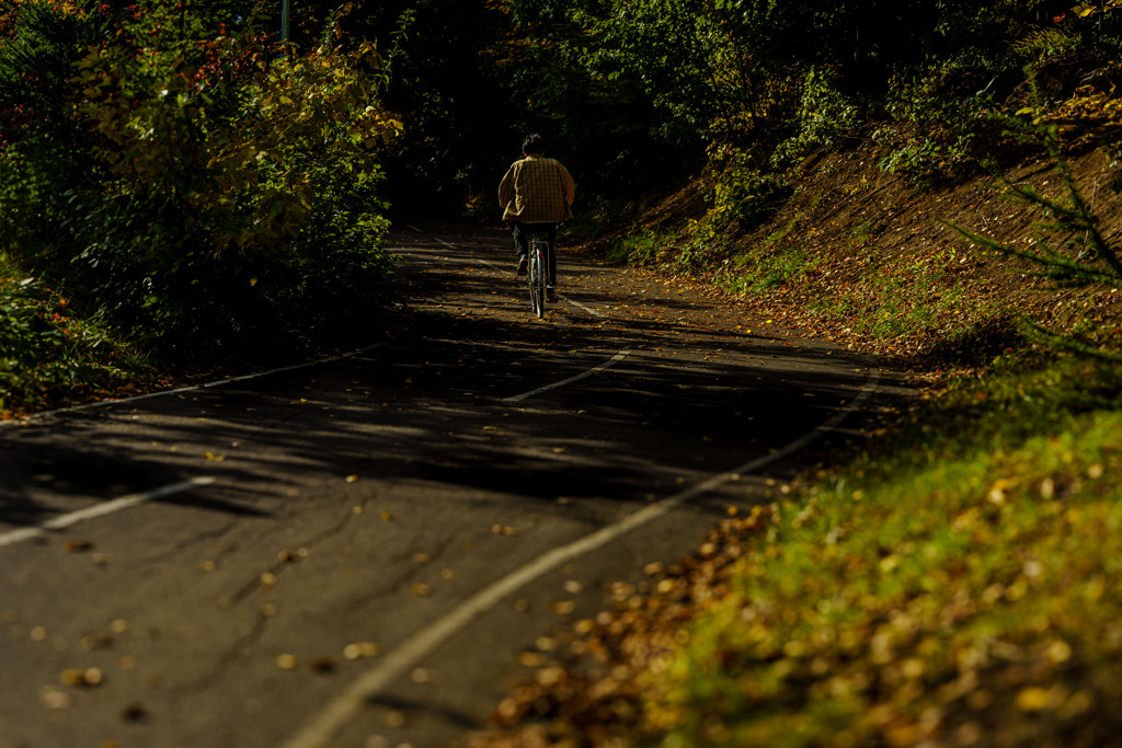 陽だまりロード1