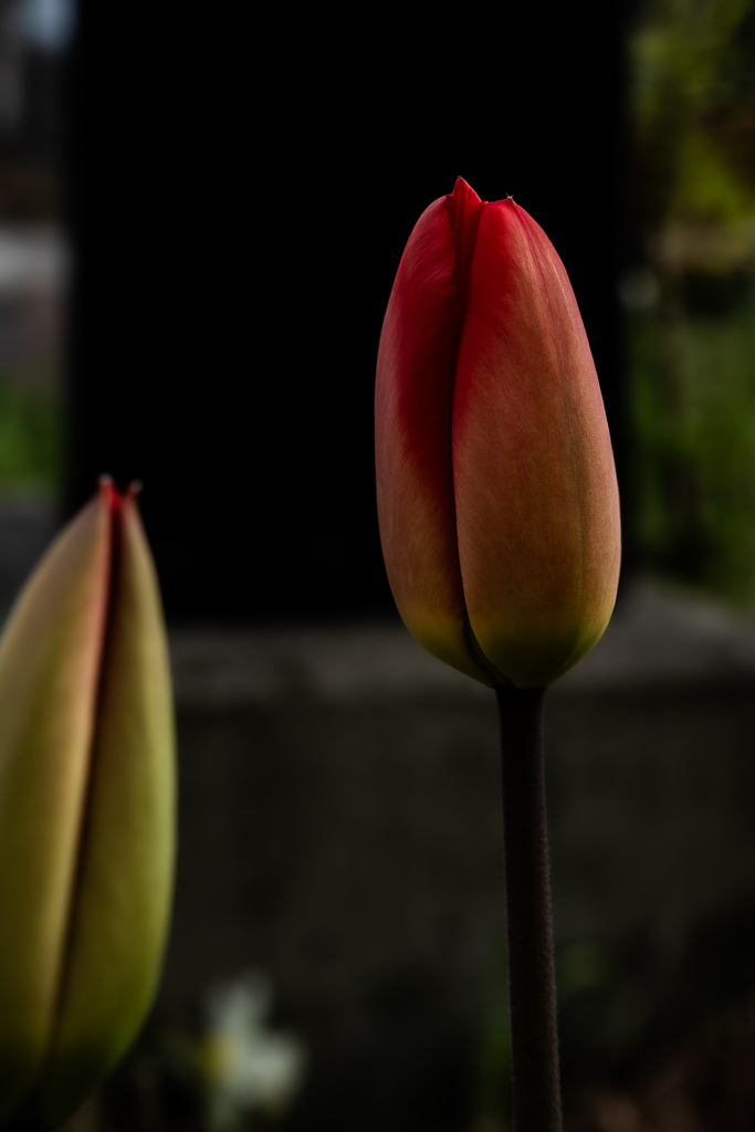 開いてなくても