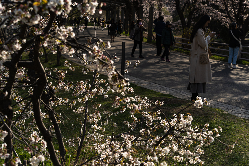 中島公園４−２５ー２