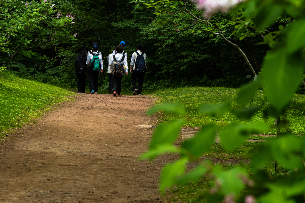 北大植物園０５２６２