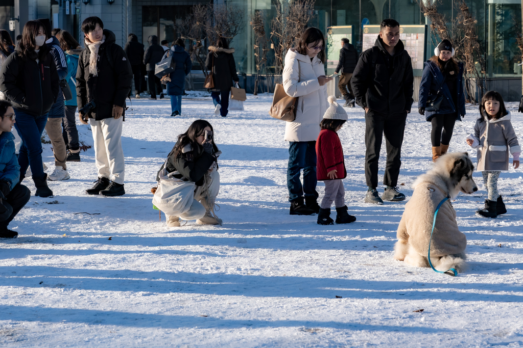 ある日の群像２