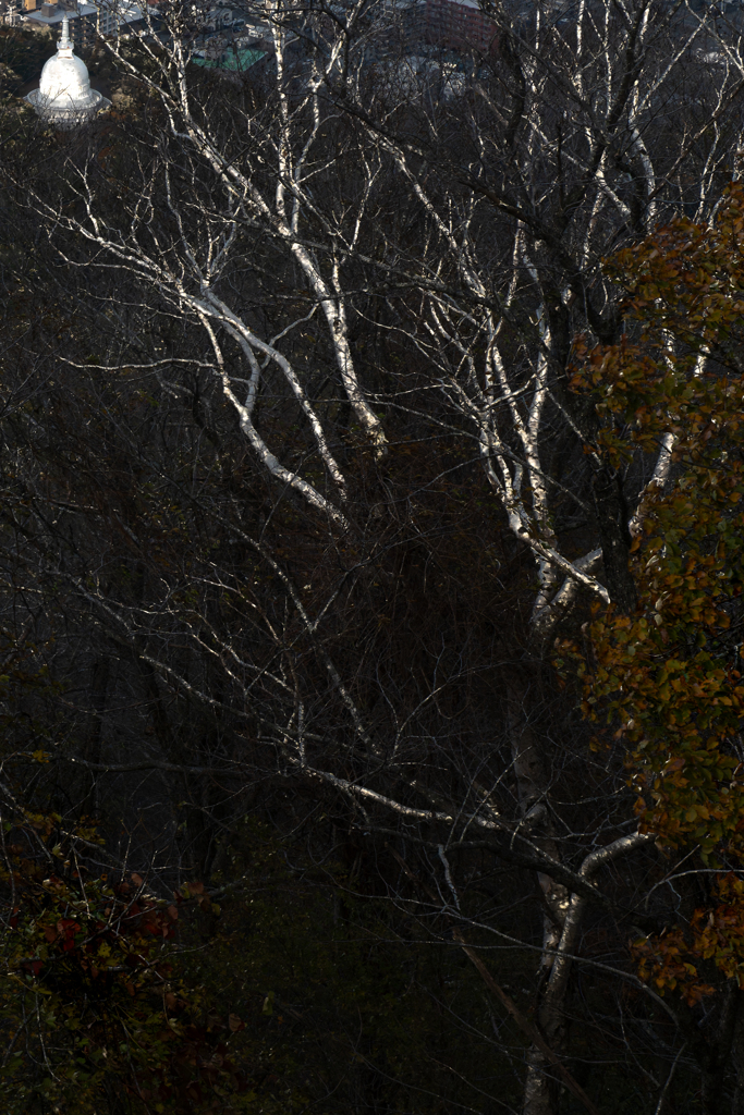 平和記念塔（仏舎利塔）１