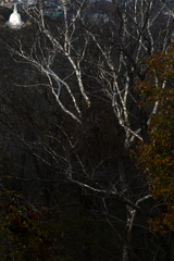 平和記念塔（仏舎利塔）１