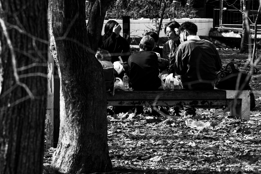 道立近代美術館前提