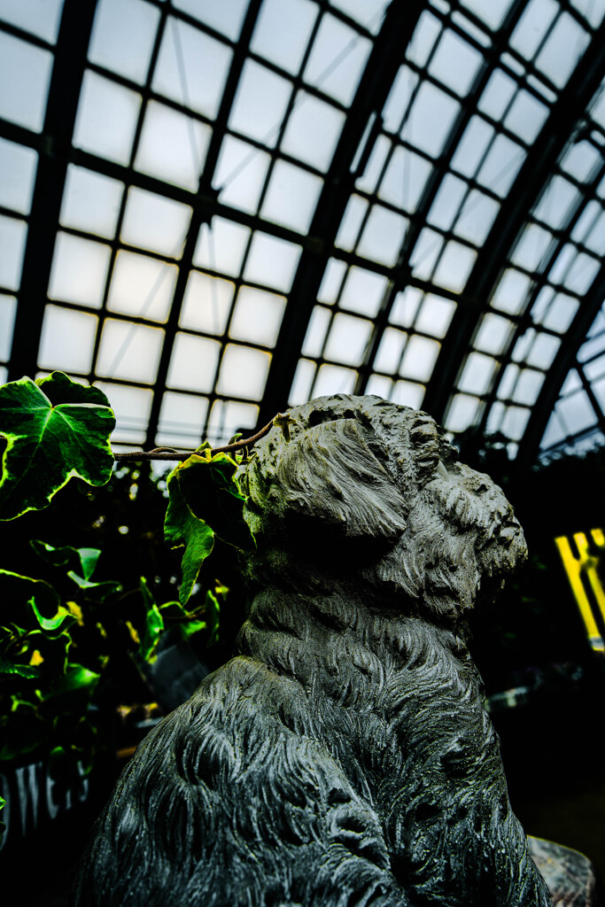 百合が原公園11214