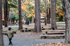 男の子とカラス