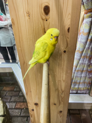 札幌地下で見つけた