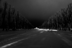 シンメトリは好きじゃない