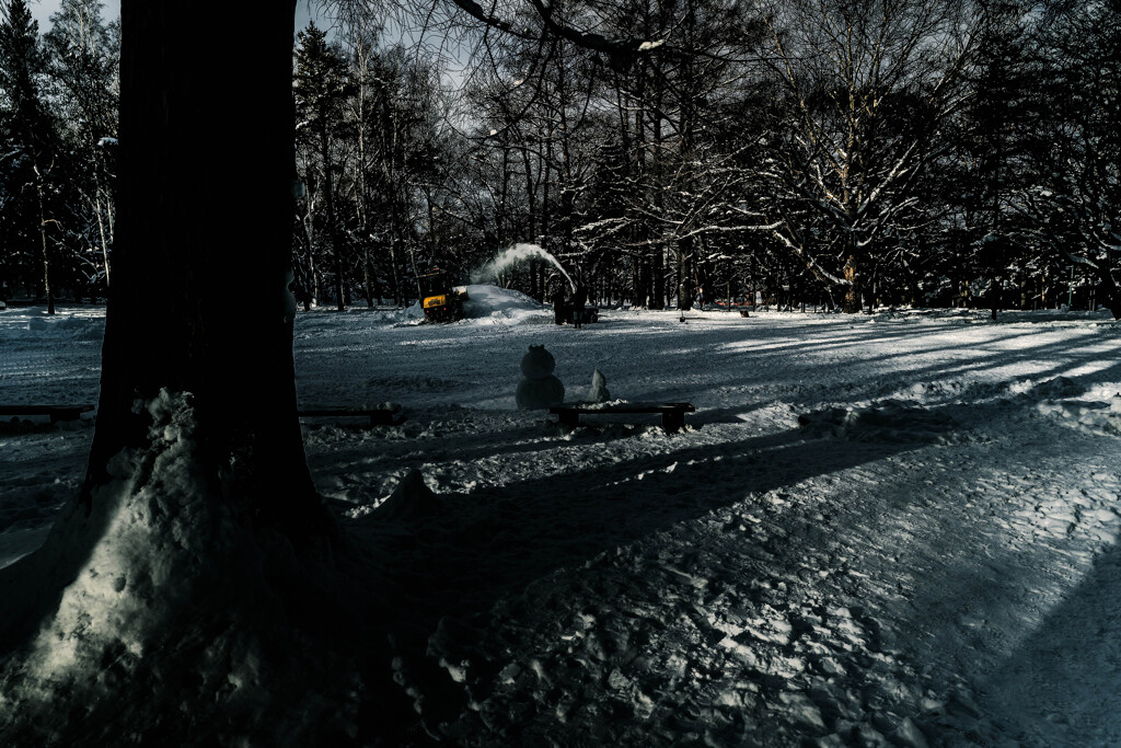 公園の除雪