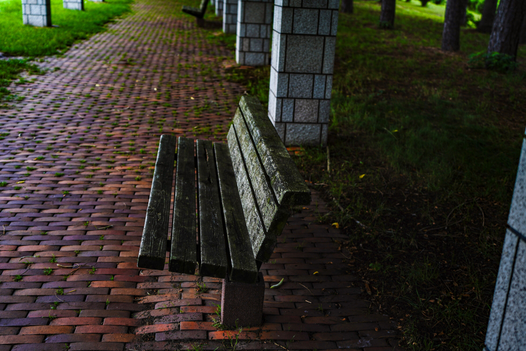 前田森林公園５