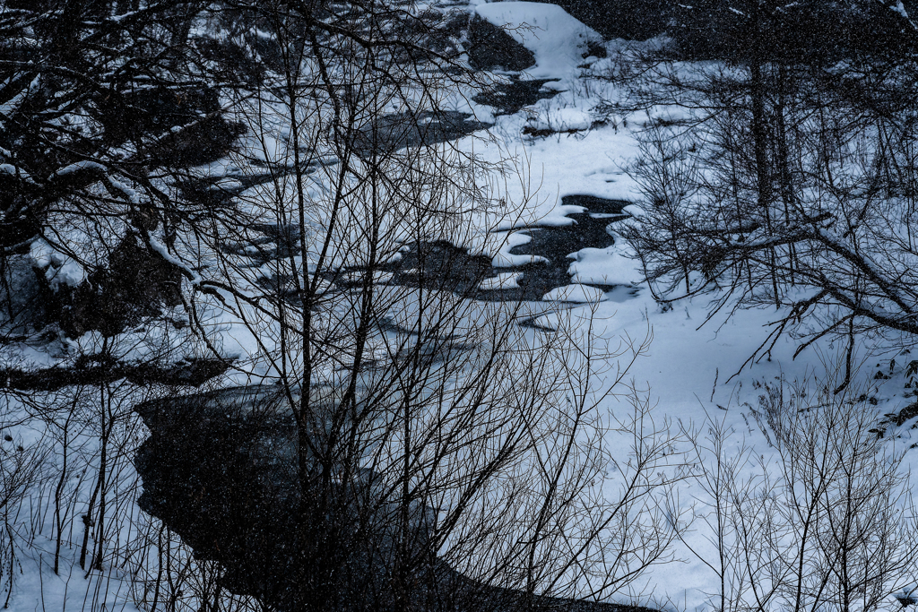 芸術の森には川がある
