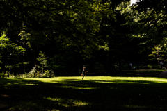 少女はひなたを駆ける