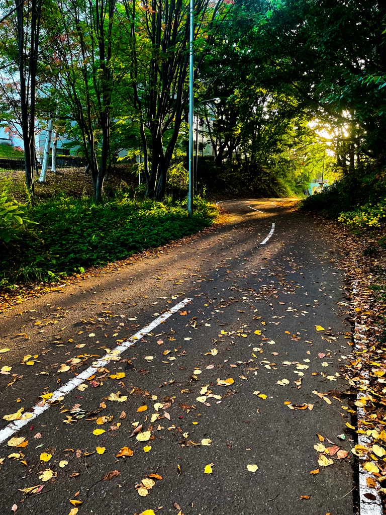 夕方のセンターポール。電灯ですけど