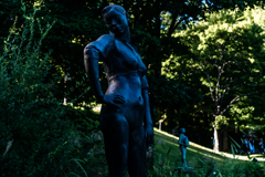 若い女・シャツ３