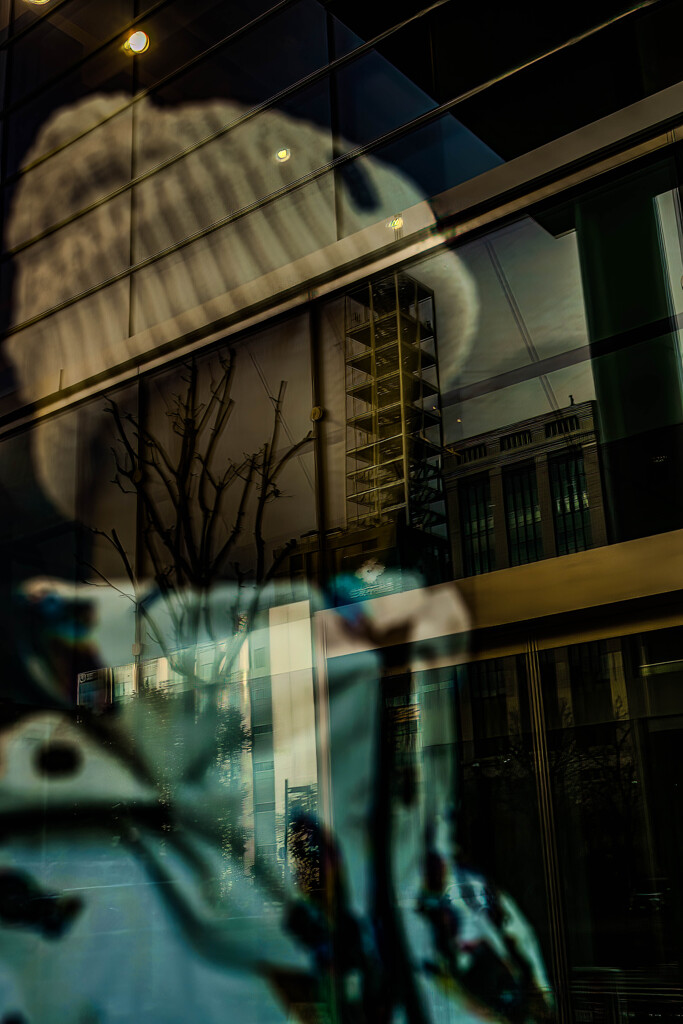 ショーウィンドウ