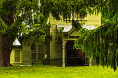 北大植物園０５２６９