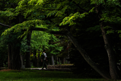 中島公園８月１１日３