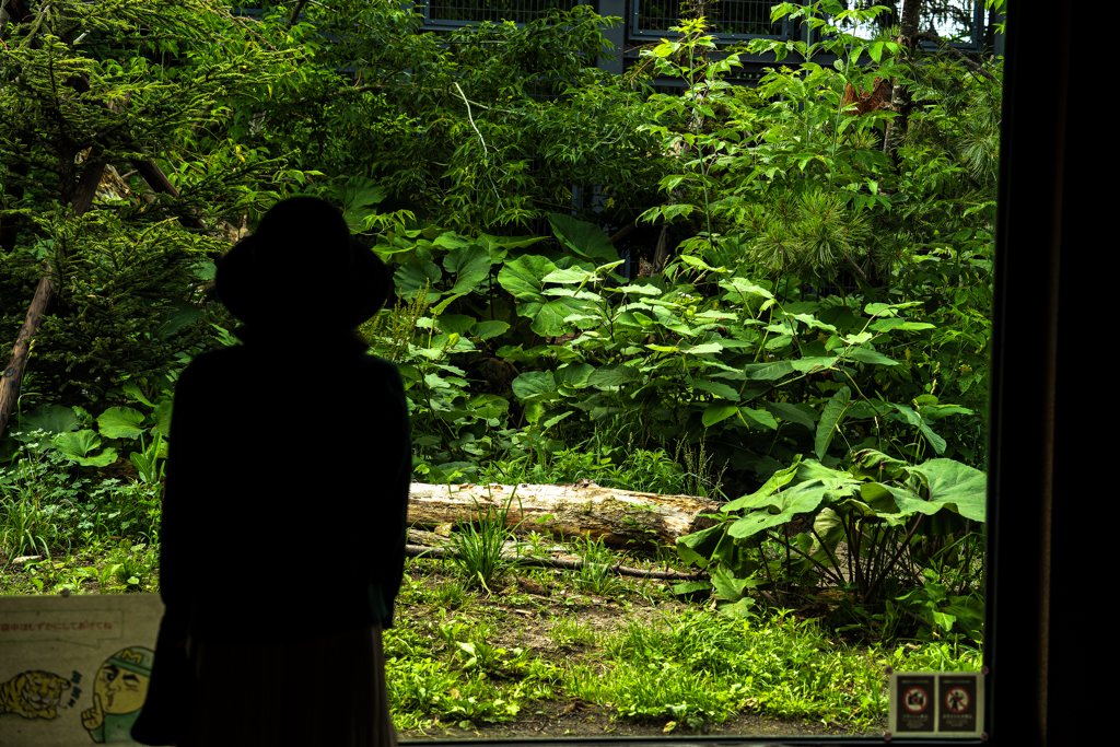 動物園０７０２ー３