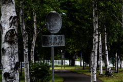 読めないんですが