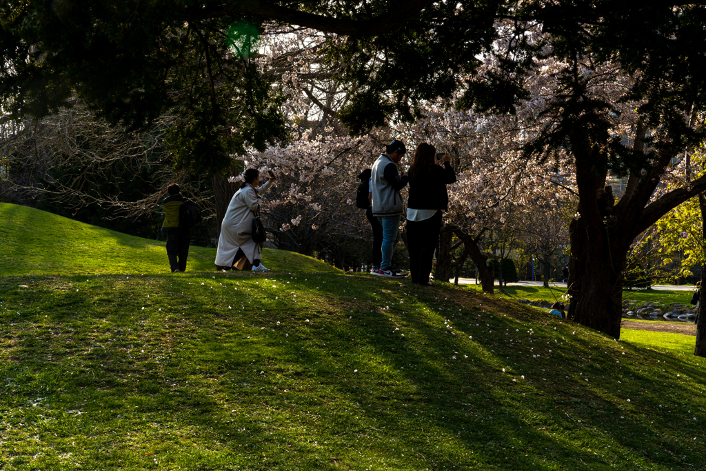 中島公園４−２５ー５