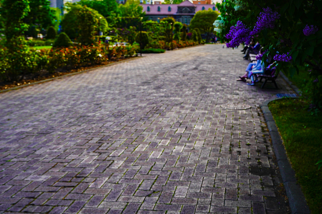 大通公園０５１７−１