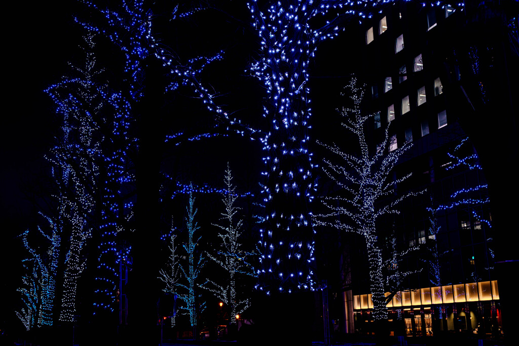 旧本庁舎前広場アカプラ2