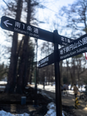 円山公園に行ってきた２