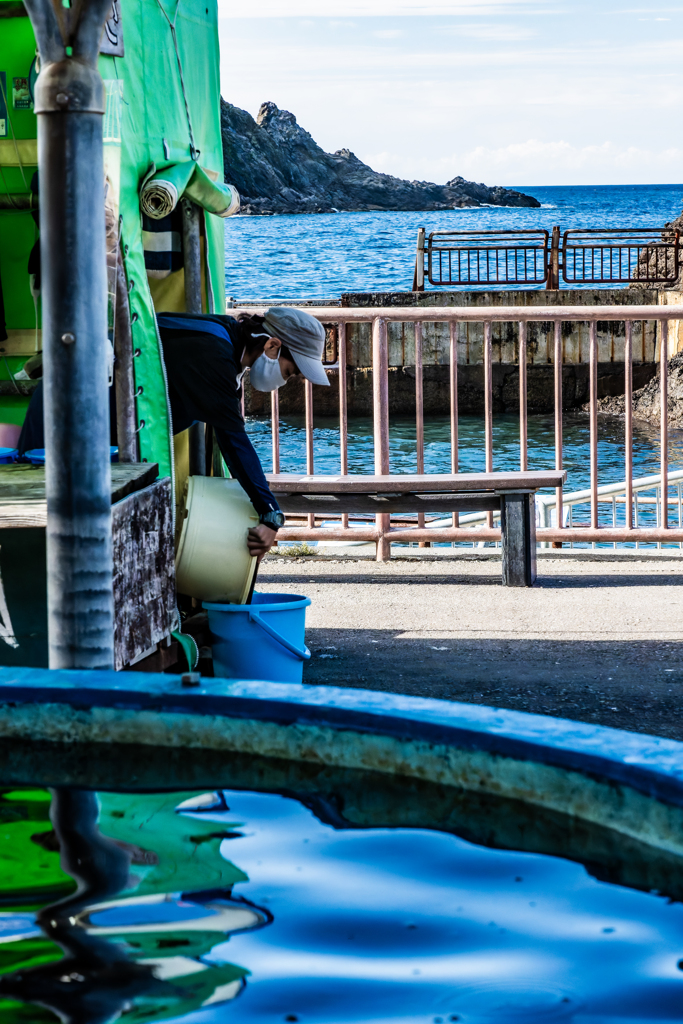 水族館のスタッフさん