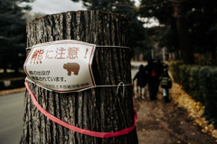 クマ注意１１２０２