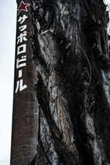 サッポロビール園１